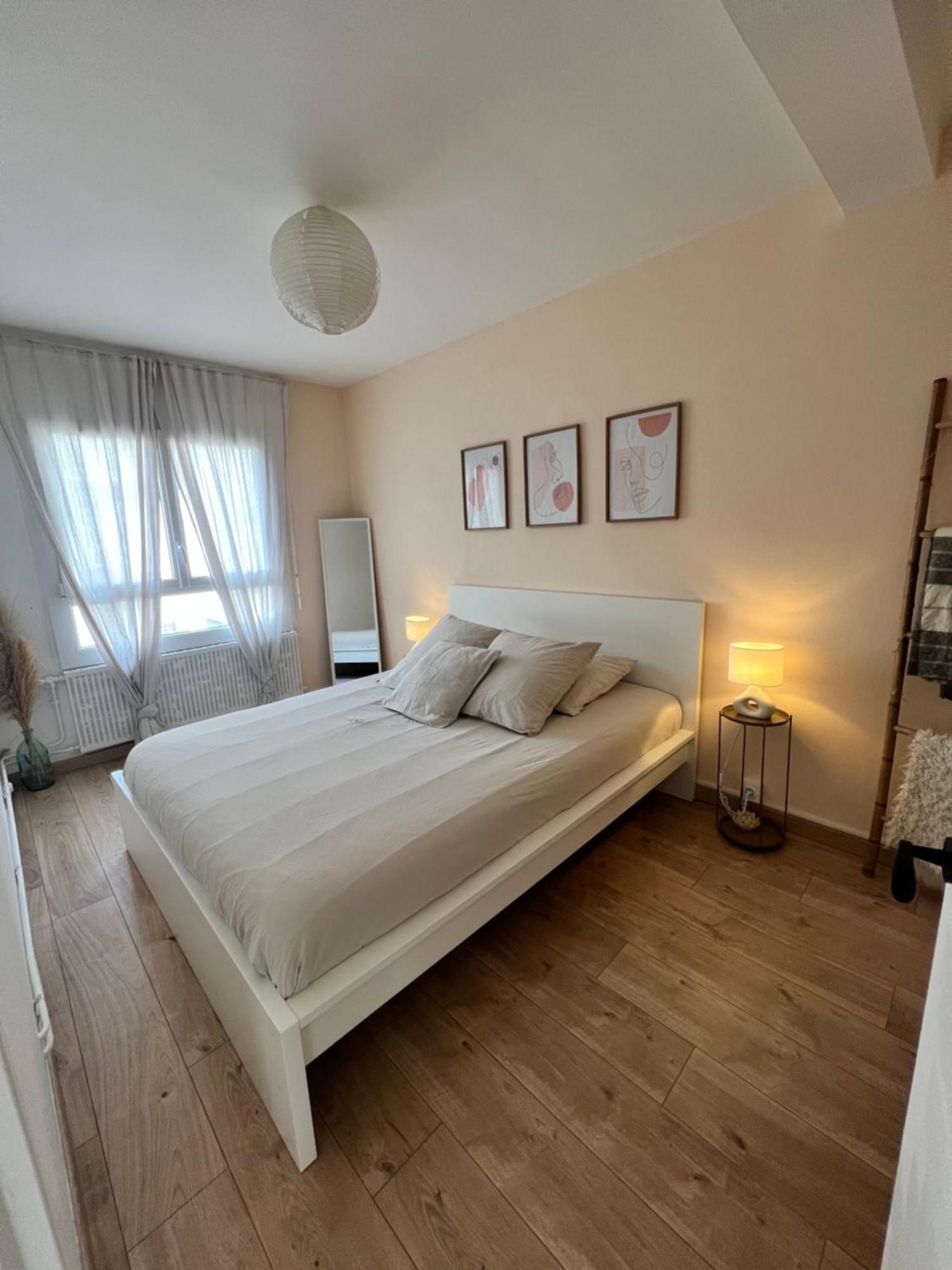 Le Bellevue - T3 - Gare & Les Jardins Darcy - Parking Free Διαμέρισμα Ντιζόν Εξωτερικό φωτογραφία