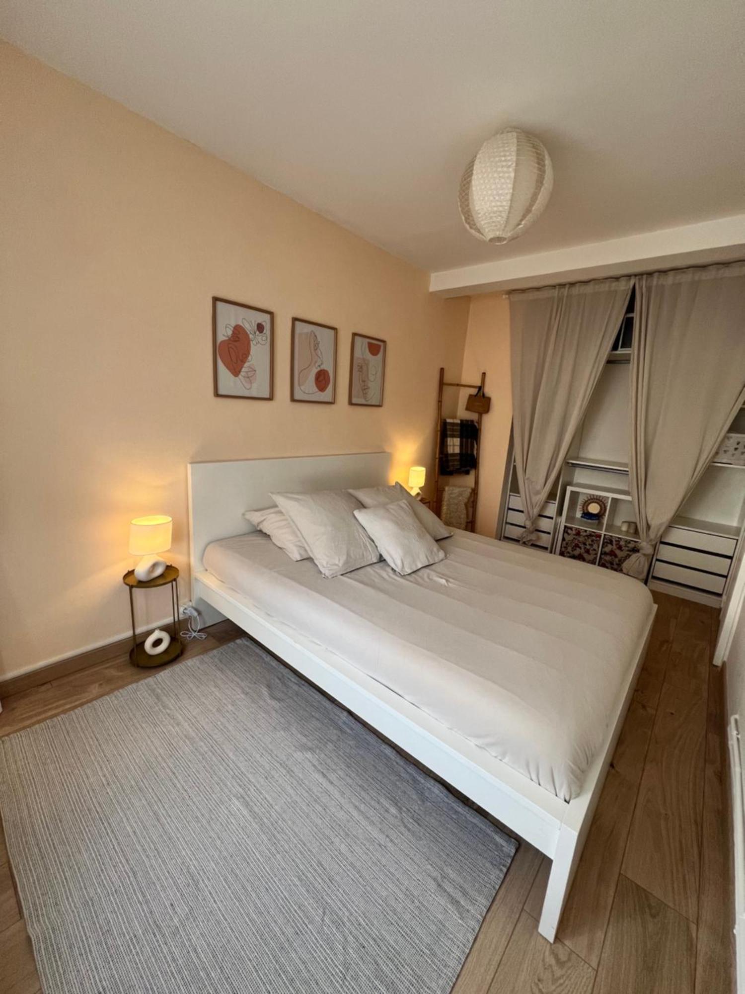 Le Bellevue - T3 - Gare & Les Jardins Darcy - Parking Free Διαμέρισμα Ντιζόν Εξωτερικό φωτογραφία